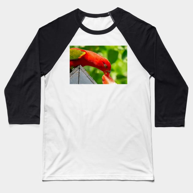 close up of a macaw Baseball T-Shirt by likbatonboot